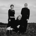 Album cover for Birding by deary, dark gothic silhouettes of figures standing in a barren, desolate field under a black sky, evoking isolation and melancholy.