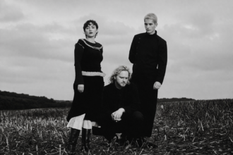 Album cover for Birding by deary, dark gothic silhouettes of figures standing in a barren, desolate field under a black sky, evoking isolation and melancholy.