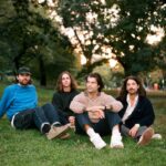 Turnover sitting on grass in a park.