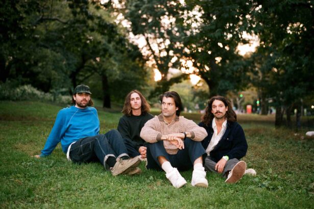 Turnover sitting on grass in a park.
